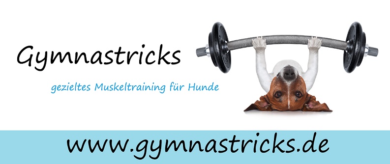 Logo Gymnastricks TrainerIN